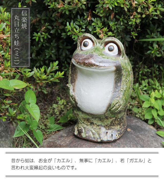 かえる 陶器かえる しがらき蛙 カエル置物 信楽焼