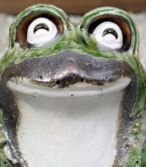 かえる 陶器かえる しがらき蛙 カエル置物 信楽焼