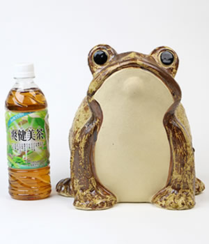 かえる 陶器かえる しがらき蛙 カエル置物 信楽焼