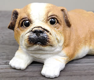 犬 置物 信楽焼