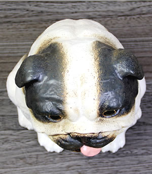 犬 置物 信楽焼