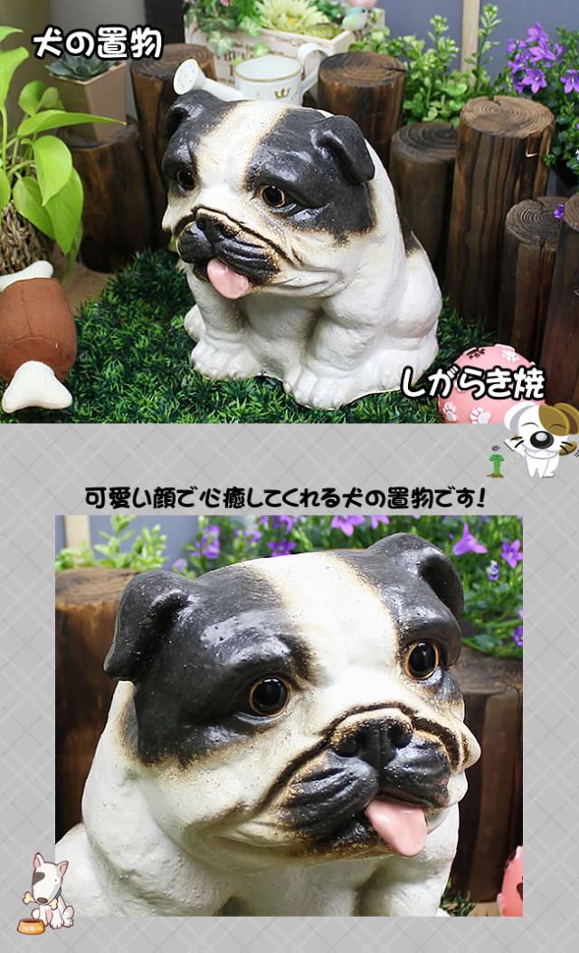 いぬ置物 しがらきやき犬 陶器ネコ 信楽焼き
