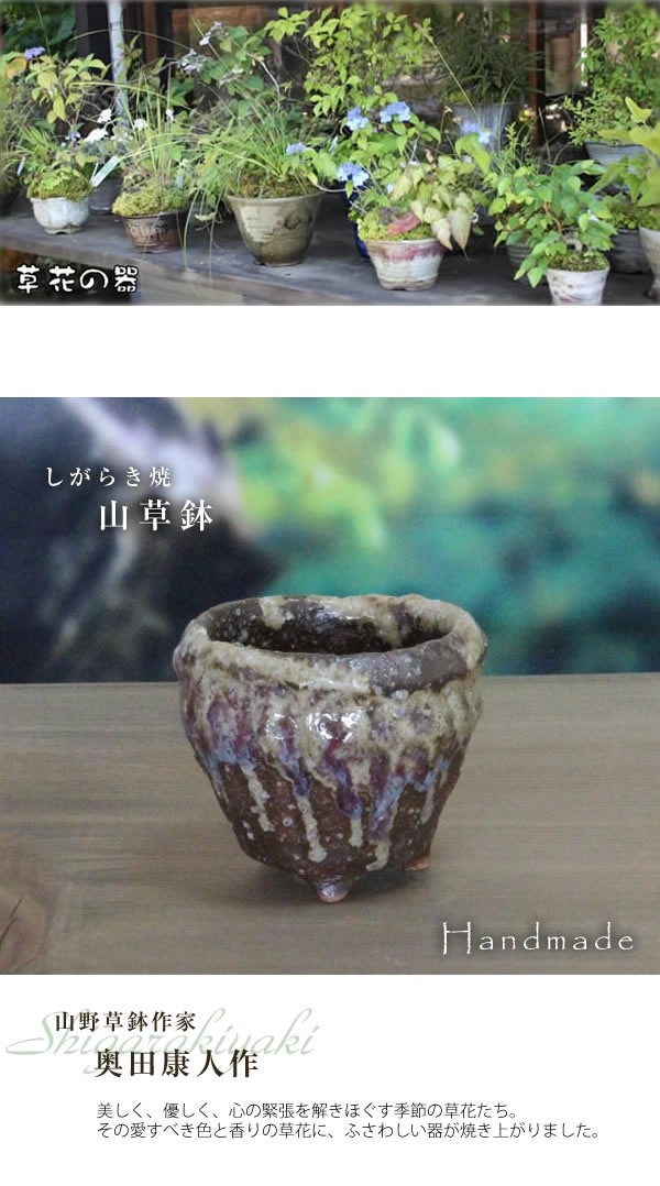 手作り 山野草鉢 山草 手作りの植木鉢 山草鉢 鉢 おしゃれ 信楽焼 陶器 植木 和風 通販 鉢 鉢 Proman Vous Lu