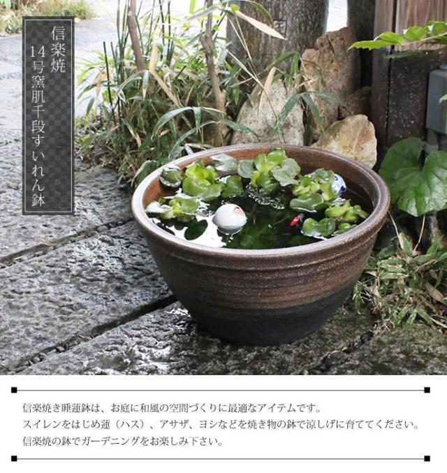 信楽焼き水鉢　すいれん鉢　金魚鉢　メダカ鉢　陶器睡蓮鉢　スイレン鉢