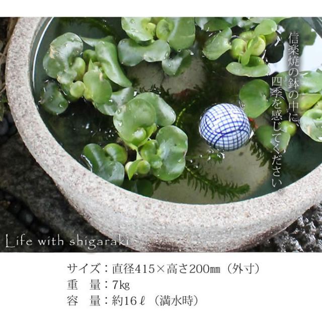 信楽焼き水鉢　すいれん鉢　金魚鉢　メダカ鉢　陶器睡蓮鉢　スイレン鉢