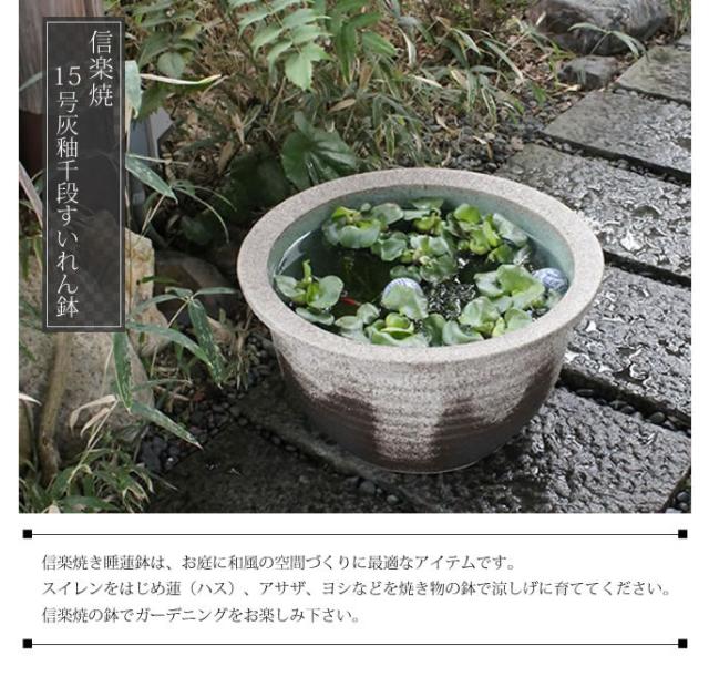 信楽焼き水鉢　すいれん鉢　金魚鉢　メダカ鉢　陶器睡蓮鉢　スイレン鉢