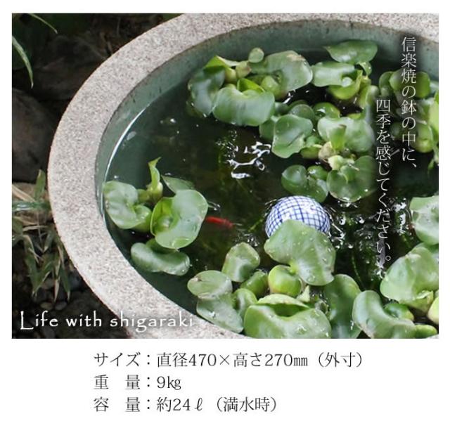 信楽焼き水鉢　すいれん鉢　金魚鉢　メダカ鉢　陶器睡蓮鉢　スイレン鉢
