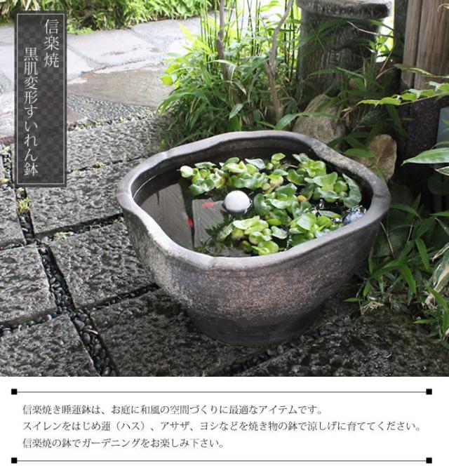 信楽焼き水鉢　すいれん鉢　金魚鉢　メダカ鉢　陶器睡蓮鉢　スイレン鉢
