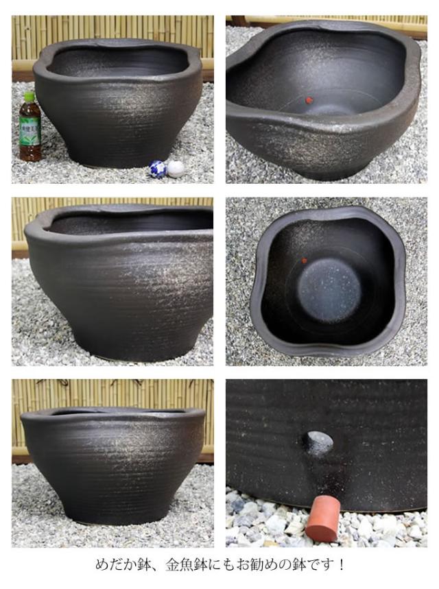 信楽焼き水鉢　すいれん鉢　金魚鉢　メダカ鉢　陶器睡蓮鉢　スイレン鉢