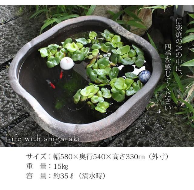 信楽焼き水鉢　すいれん鉢　金魚鉢　メダカ鉢　陶器睡蓮鉢　スイレン鉢