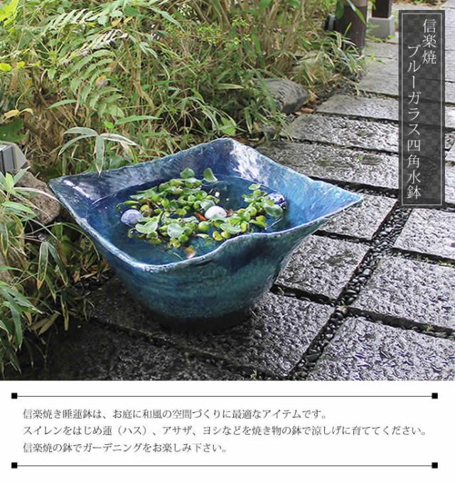 信楽焼き水鉢　すいれん鉢　金魚鉢　メダカ鉢　陶器睡蓮鉢　スイレン鉢
