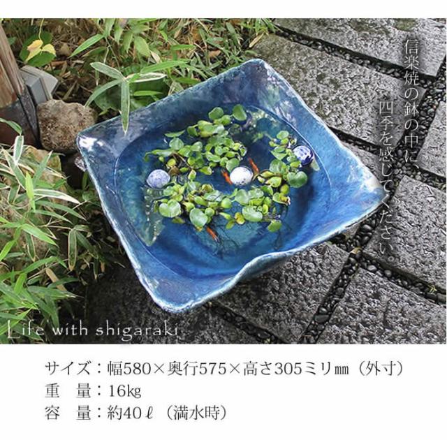 信楽焼き水鉢　すいれん鉢　金魚鉢　メダカ鉢　陶器睡蓮鉢　スイレン鉢