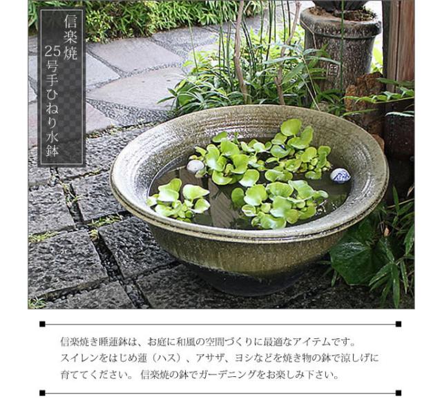 ランキング１位受賞 陶器 25号古陶手ひねり水鉢 すいれん鉢 メダカ鉢 金魚鉢にも最適 睡蓮鉢 スイレン鉢 信楽焼 おしゃれ 和風 手作り 新商品 Kweli Shop