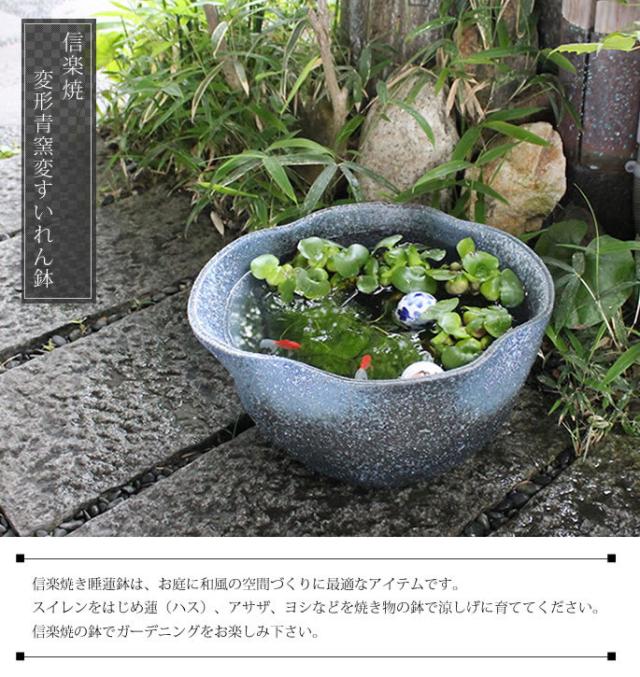 信楽焼き水鉢　すいれん鉢　金魚鉢　メダカ鉢　陶器睡蓮鉢　スイレン鉢