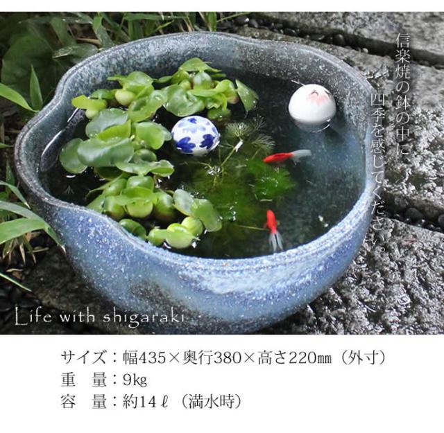 信楽焼き水鉢　すいれん鉢　金魚鉢　メダカ鉢　陶器睡蓮鉢　スイレン鉢
