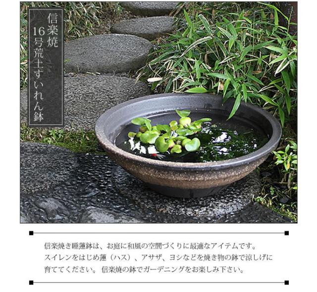 信楽焼き水鉢　すいれん鉢　金魚鉢　メダカ鉢　陶器睡蓮鉢　スイレン鉢