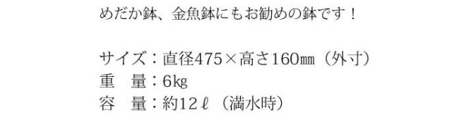 信楽焼き水鉢　すいれん鉢　金魚鉢　メダカ鉢　陶器睡蓮鉢　スイレン鉢