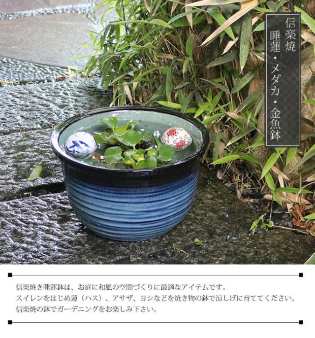 信楽焼き水鉢　すいれん鉢　金魚鉢　メダカ鉢　陶器睡蓮鉢　スイレン鉢