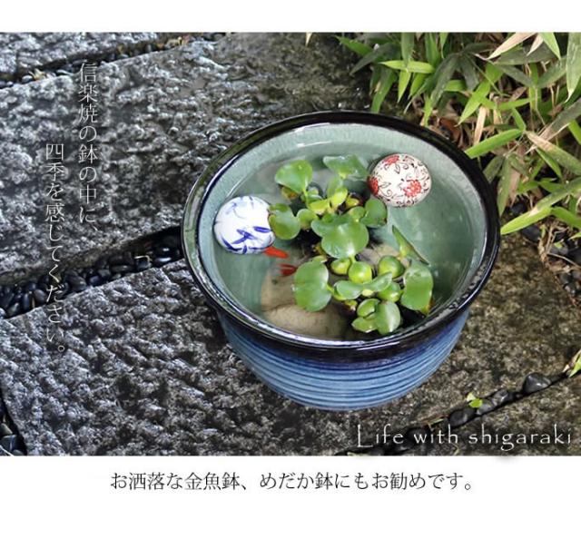 信楽焼き水鉢　すいれん鉢　金魚鉢　メダカ鉢　陶器睡蓮鉢　スイレン鉢