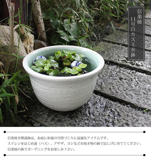 信楽焼き水鉢　すいれん鉢　金魚鉢　メダカ鉢　陶器睡蓮鉢　スイレン鉢