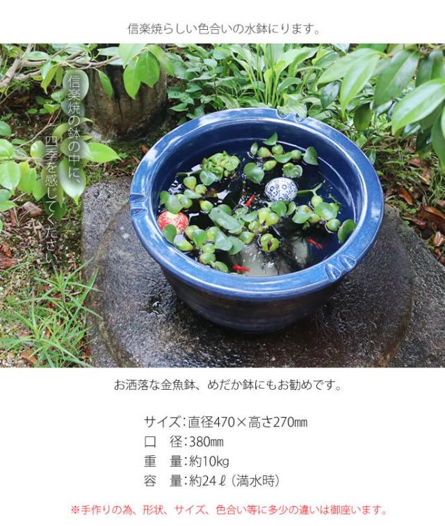 信楽焼き水鉢　すいれん鉢　金魚鉢　メダカ鉢　陶器睡蓮鉢　スイレン鉢