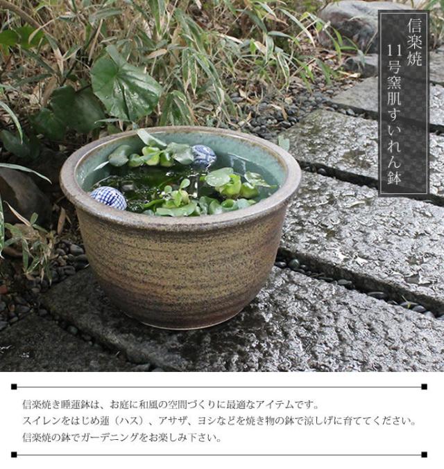 信楽焼き水鉢　すいれん鉢　金魚鉢　メダカ鉢　陶器睡蓮鉢　スイレン鉢
