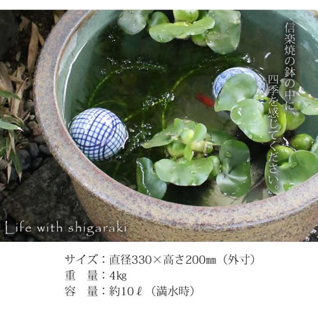 信楽焼き水鉢　すいれん鉢　金魚鉢　メダカ鉢　陶器睡蓮鉢　スイレン鉢