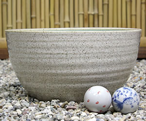 メダカ鉢 金魚鉢 睡蓮鉢 水鉢 信楽焼 陶器 鉢