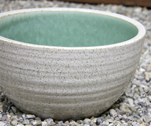 メダカ鉢 金魚鉢 睡蓮鉢 水鉢 信楽焼 陶器 鉢