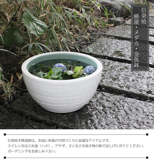 信楽焼き水鉢　すいれん鉢　金魚鉢　メダカ鉢　陶器睡蓮鉢　スイレン鉢
