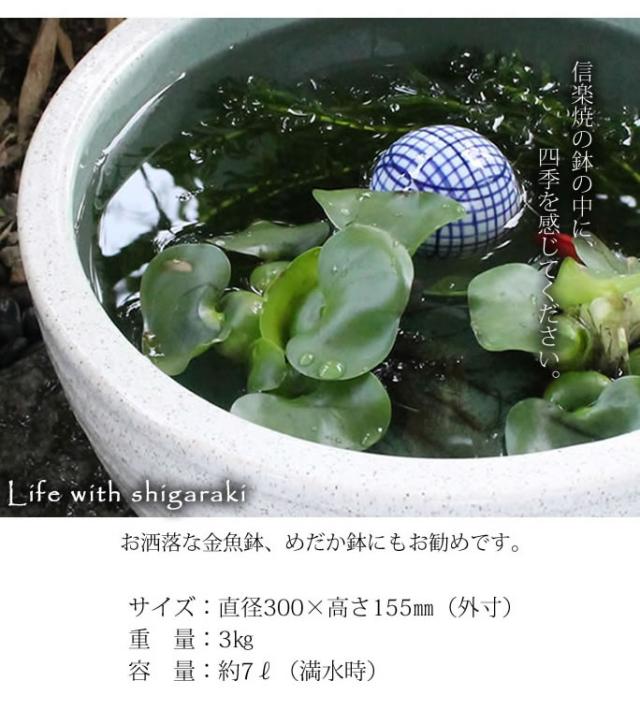 信楽焼き水鉢　すいれん鉢　金魚鉢　メダカ鉢　陶器睡蓮鉢　スイレン鉢