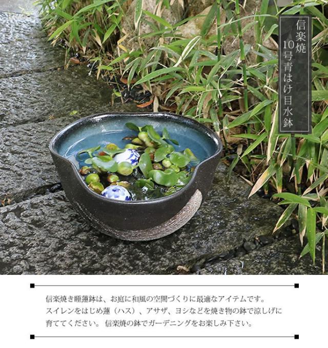 信楽焼き水鉢　すいれん鉢　金魚鉢　メダカ鉢　陶器睡蓮鉢　スイレン鉢