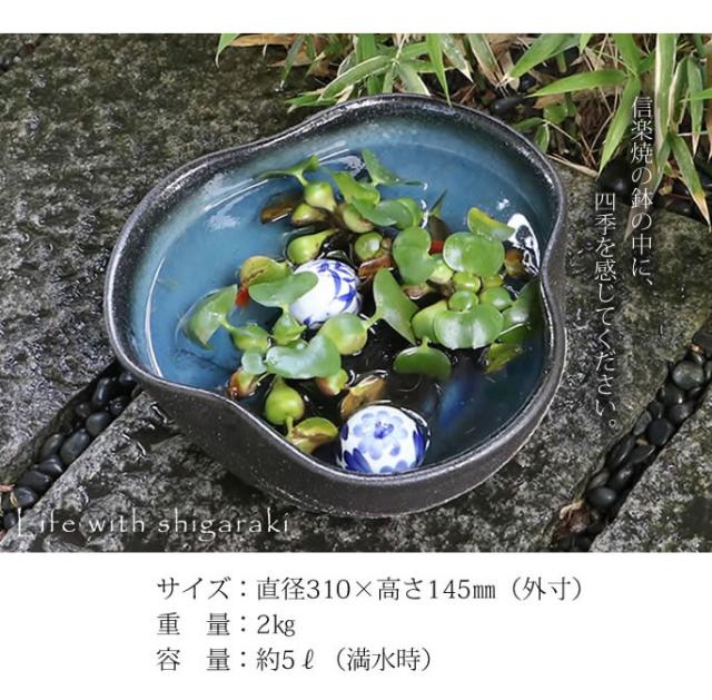 信楽焼き水鉢　すいれん鉢　金魚鉢　メダカ鉢　陶器睡蓮鉢　スイレン鉢