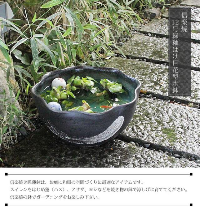 信楽焼き水鉢　すいれん鉢　金魚鉢　メダカ鉢　陶器睡蓮鉢　スイレン鉢