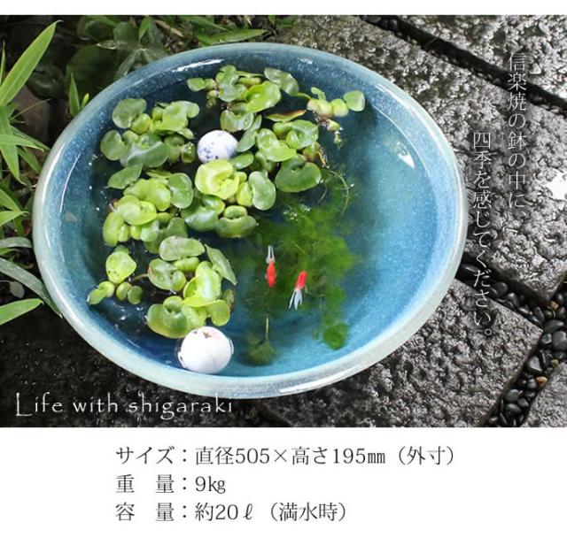 21年最新海外 陶器 16号ブルーガラス信楽焼すいれん鉢 メダカ鉢 金魚鉢にも 最適 睡蓮鉢 スイレン鉢 ハス鉢 和風 手作り 大注目 Sylvaniatownshippolice Com