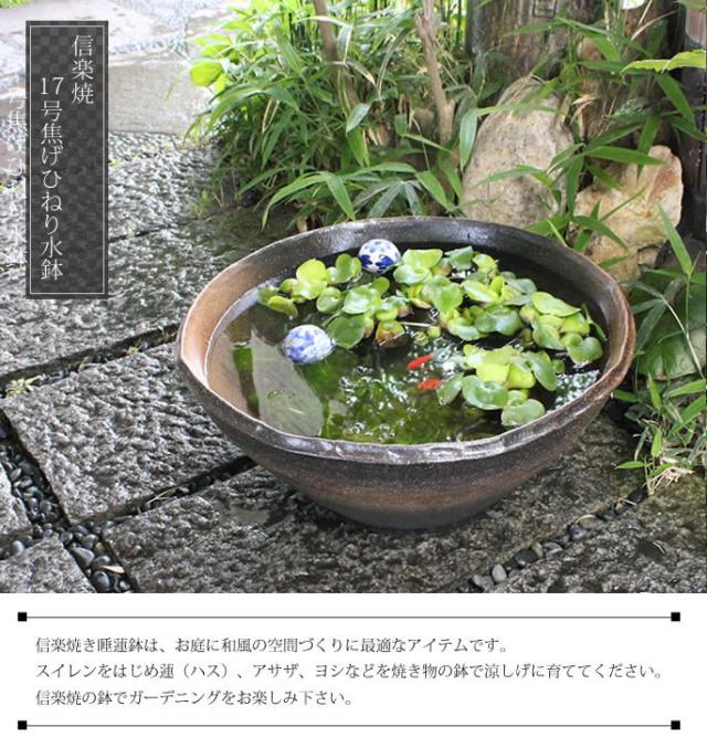 陶器 17号コゲひねり信楽焼すいれん鉢 メダカ鉢 金魚鉢にも 最適 睡蓮鉢 スイレン鉢 ハス鉢 は和風 手作り の通販はau Pay マーケット まるいち本店 商品ロットナンバー