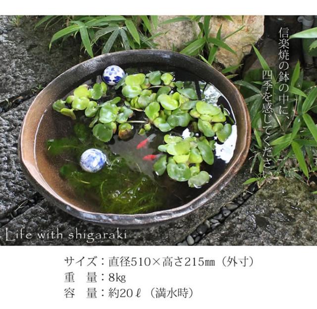 信楽焼き水鉢 すいれん鉢 金魚鉢 メダカ鉢 陶器睡蓮鉢 スイレン鉢