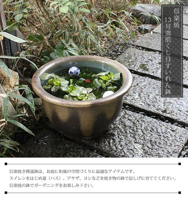 信楽焼き水鉢　すいれん鉢　金魚鉢　メダカ鉢　陶器睡蓮鉢　スイレン鉢