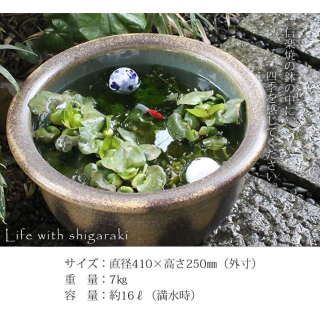 信楽焼き水鉢　すいれん鉢　金魚鉢　メダカ鉢　陶器睡蓮鉢　スイレン鉢