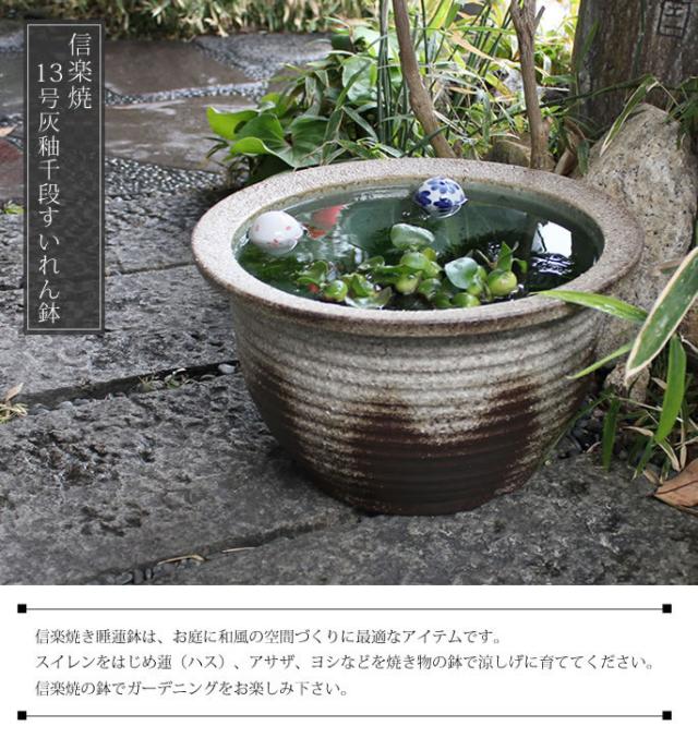 信楽焼き水鉢 すいれん鉢 金魚鉢 メダカ鉢 陶器睡蓮鉢 スイレン鉢