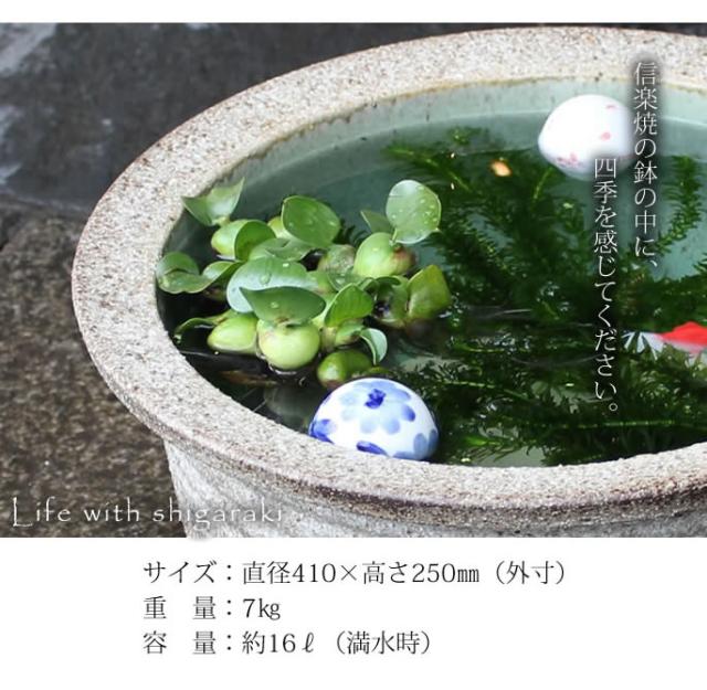 信楽焼き水鉢 すいれん鉢 金魚鉢 メダカ鉢 陶器睡蓮鉢 スイレン鉢