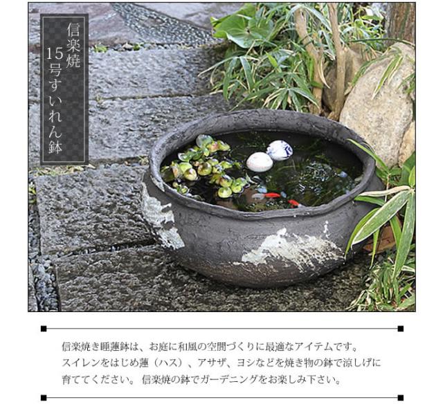 信楽焼き水鉢　すいれん鉢　金魚鉢　メダカ鉢　陶器睡蓮鉢　スイレン鉢