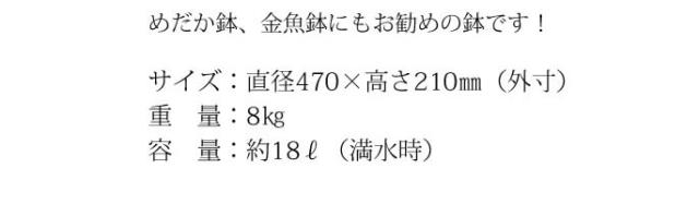 信楽焼き水鉢　すいれん鉢　金魚鉢　メダカ鉢　陶器睡蓮鉢　スイレン鉢