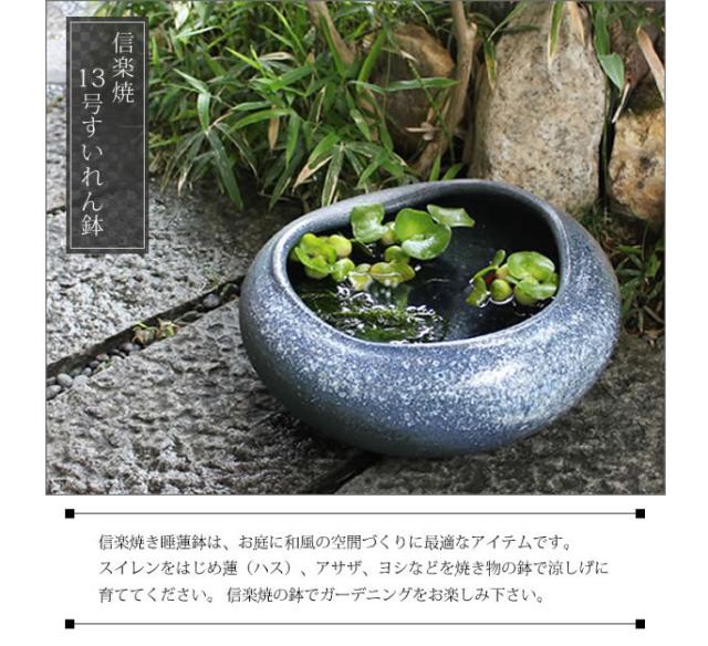 信楽焼き水鉢　すいれん鉢　金魚鉢　メダカ鉢　陶器睡蓮鉢　スイレン鉢