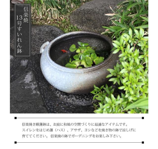 信楽焼き水鉢 すいれん鉢 金魚鉢 メダカ鉢 陶器睡蓮鉢 スイレン鉢