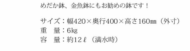 信楽焼き水鉢 すいれん鉢 金魚鉢 メダカ鉢 陶器睡蓮鉢 スイレン鉢