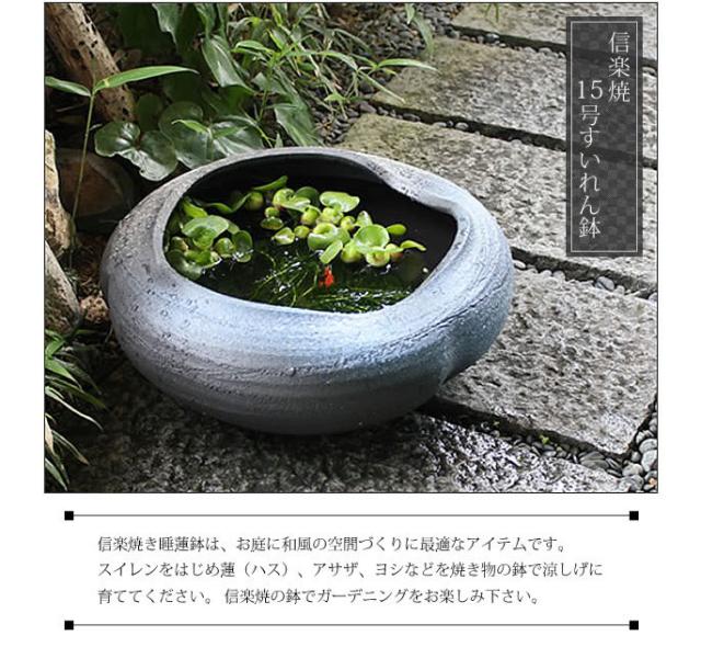 信楽焼き水鉢 すいれん鉢 金魚鉢 メダカ鉢 陶器睡蓮鉢 スイレン鉢
