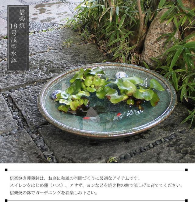 信楽焼き水鉢　すいれん鉢　金魚鉢　メダカ鉢　陶器睡蓮鉢　スイレン鉢