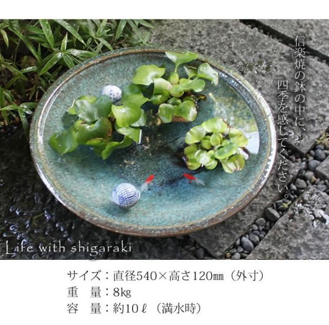 信楽焼き水鉢　すいれん鉢　金魚鉢　メダカ鉢　陶器睡蓮鉢　スイレン鉢