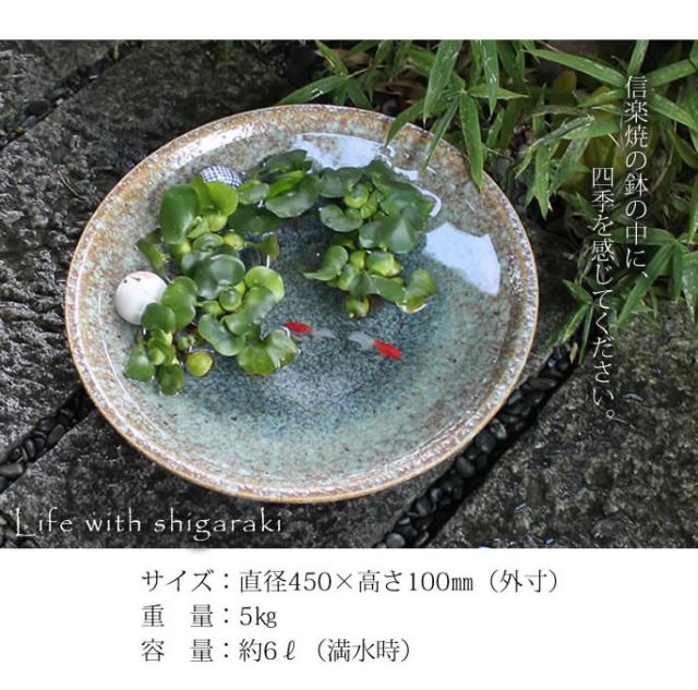 信楽焼き水鉢　すいれん鉢　金魚鉢　メダカ鉢　陶器睡蓮鉢　スイレン鉢